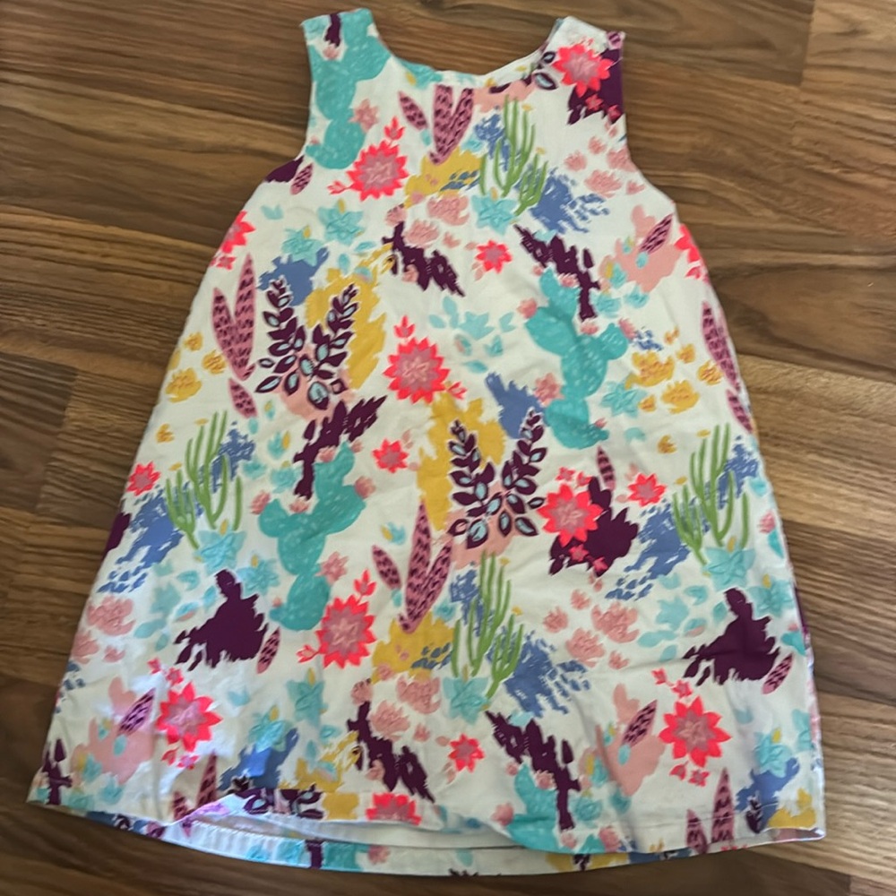 Oshkosh dress
